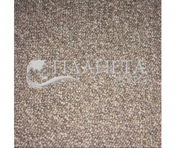 Fitted carpet for home AW Maxima 37 - high quality at the best price in Ukraine